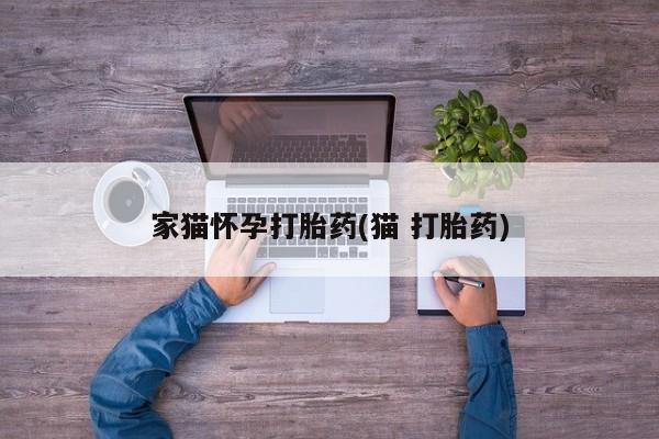 网上哪里有卖打胎药的联系方式家猫怀孕打胎药(猫 打胎药)