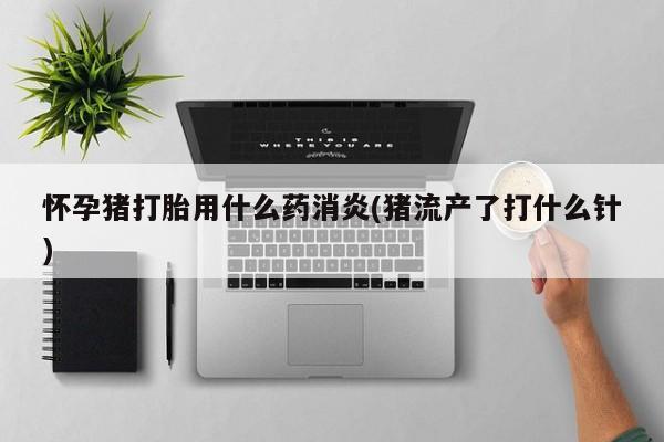 网上哪里有卖打胎药的联系方式怀孕猪打胎用什么药消炎(猪流产了打什么针)
